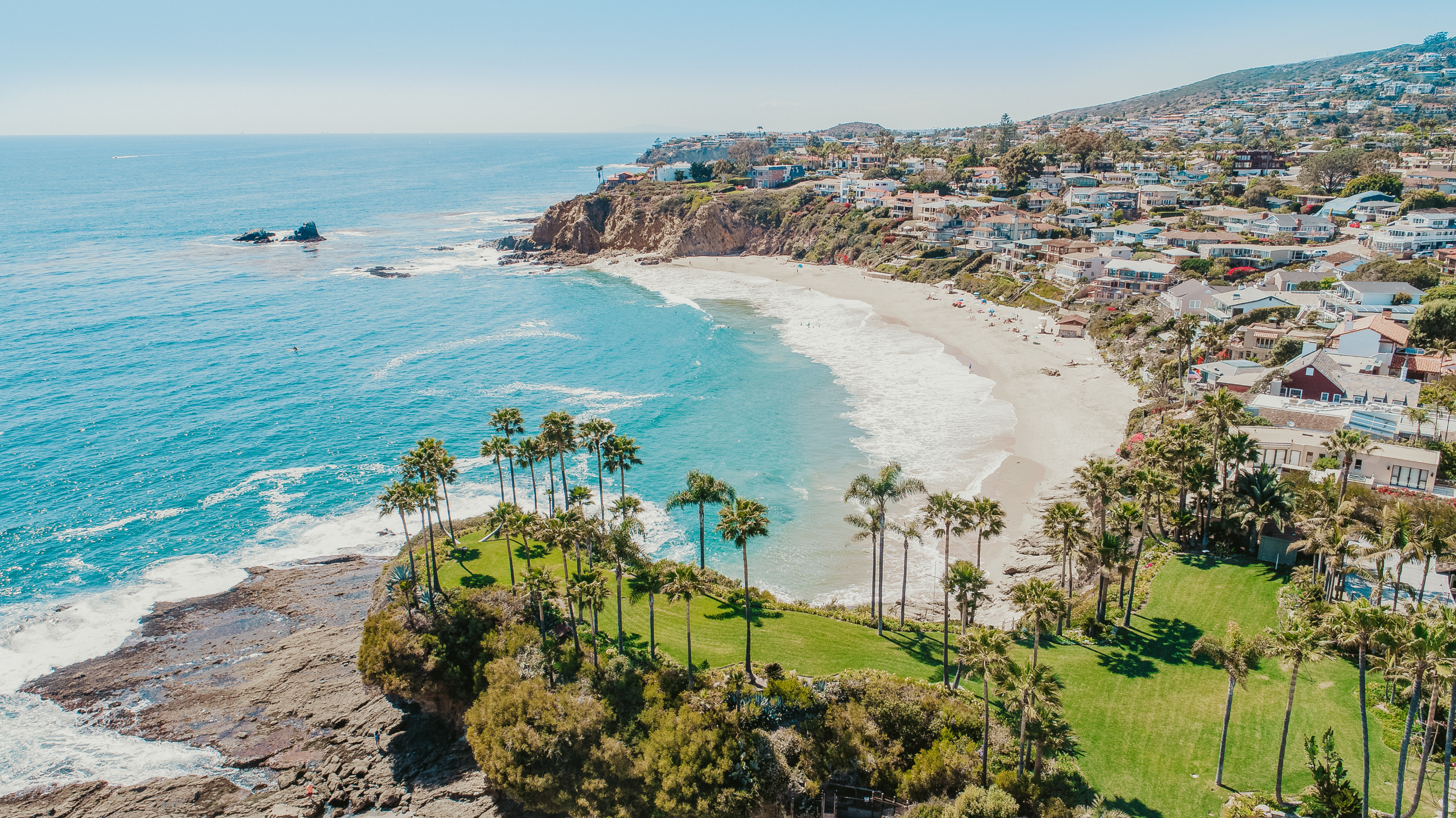 a beach with palm trees and a body of water