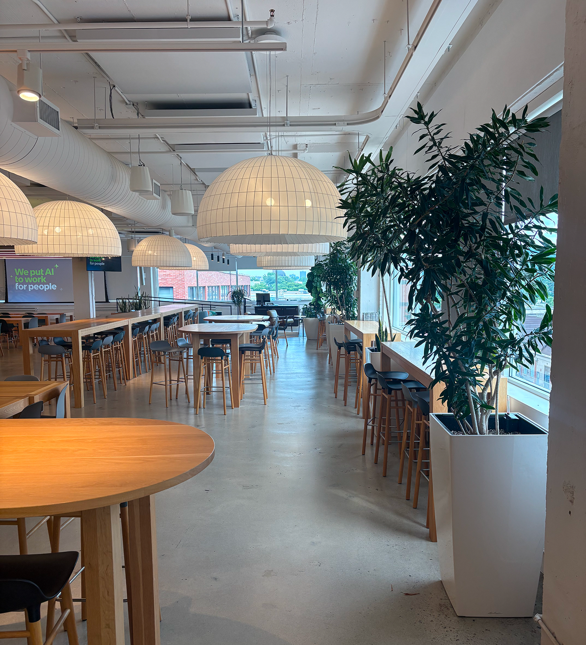 a room with tables and chairs and a plant